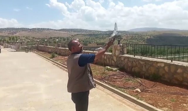 Okulda mahsur kalan güvercin, çalışanlar tarafından kurtarıldı