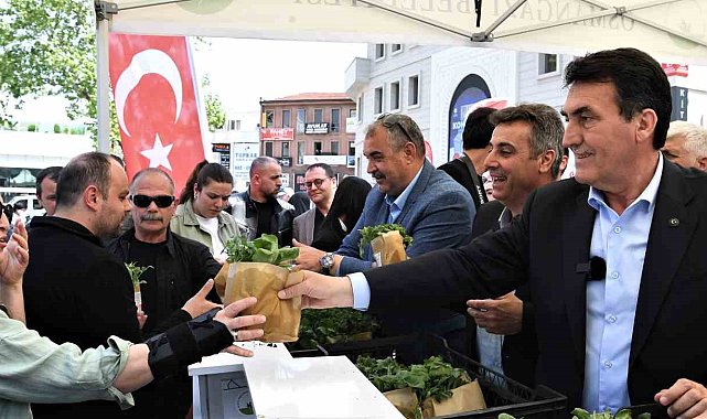 Osmangazi Belediyesi 1 milyon sebze fidesi dağıttı