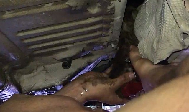 Otomobile giren yavru kediyi turizm çalışanları kurtardı