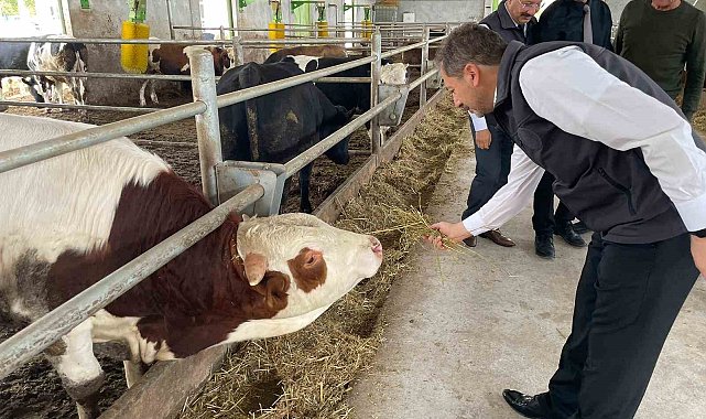 "Geçen yıl Kütahya'da girişimcilere TKDK'dan 106, Kırsal Kalkınma'dan 58 destekleme verildi"