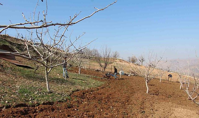 Siirt'te ÇKS başvuru süresi 8 Mayıs'ta sona eriyor