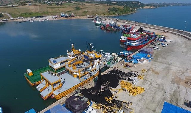 Sinop'tan 62 ülkeye 2,5 milyon dolarlık ihracat