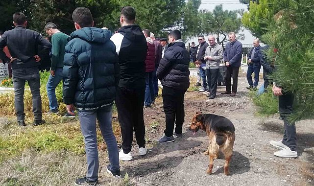 Sokak köpeği Messi cenazelere katılıyor