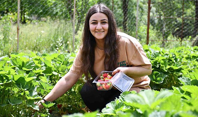 Uludereli tek kadın girişimciye devletten yüzde yüz hibe