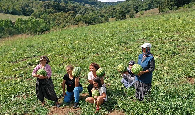 Üreticilere çilek bahçesi tesisi ve karpuz tohumu desteği