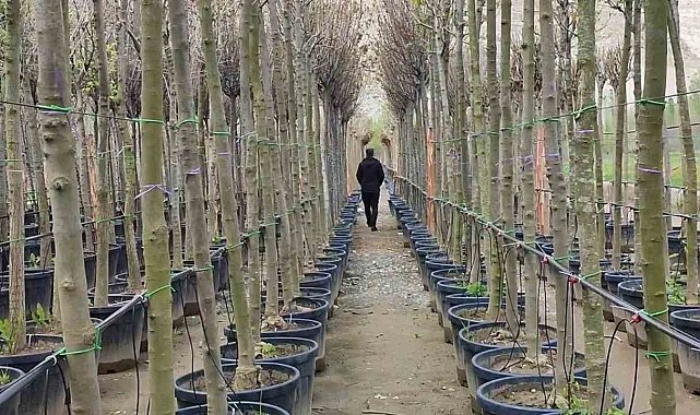 Uzundere'de büyük yatırım