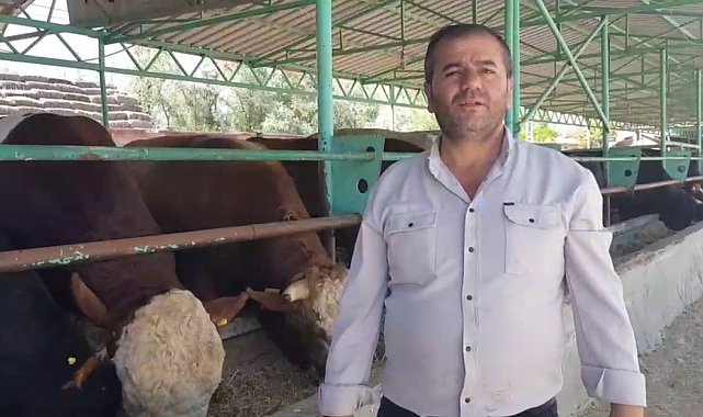 1 buçuk tonluk "Duman" 200 bin liradan alıcısını bekliyor