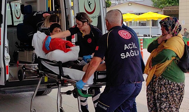 11 yaşındaki çocuk kolunu ot biçme makinesine sıkıştırdı