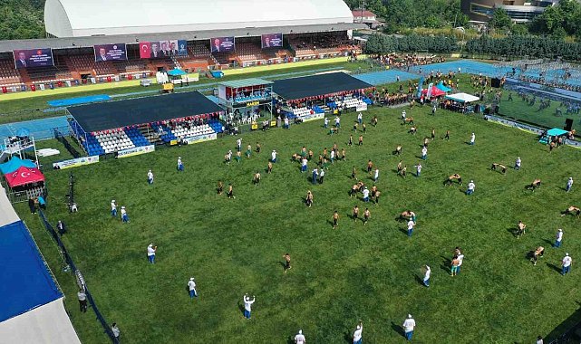 180 bin TL değerindeki altın kemer için er meydanına çıktılar