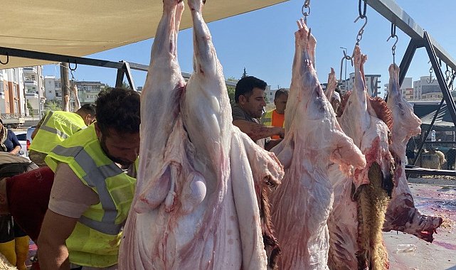 Adıyamanlı depremzedeler kurbanlarını kesiyor