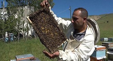 Arıcılıkta oğul toplama dönemi başladı