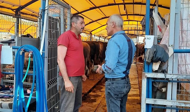 Başkan Altıkulaç: "İstanbul'a sevk edilen kurbanlıkların yüzde 60'ı satıldı"