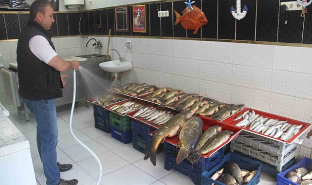 Beyşehir Gölü'nde av sezonu açıldı, balıklar tezgahları süsledi