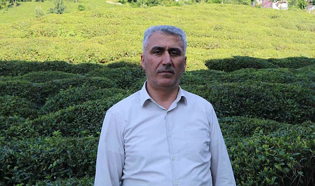 Birinci sürgünde çay üreticisinin tercihi özel sektör firmaları oldu