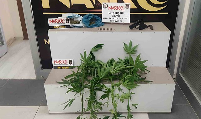 Bismil'de narkotik operasyonu: 2 gözaltı