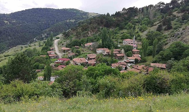 Bu köyde sandıktaki tüm oylar Cumhurbaşkanı Erdoğan'a çıktı