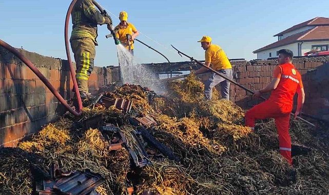 Bursa'da çiftlikte korkutan yangın
