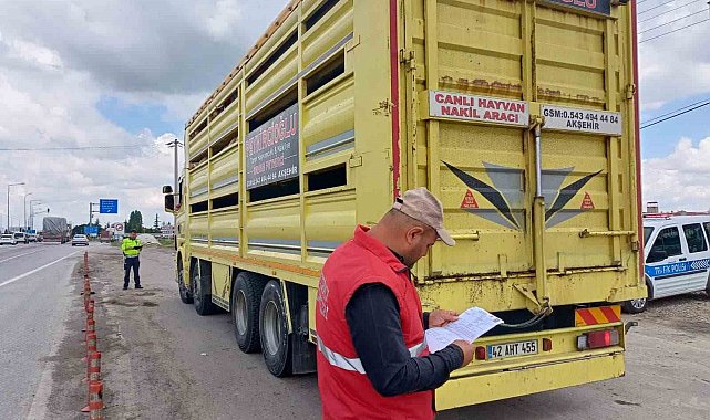 Canlı hayvan sevkiyatının hızlandığı bölgelerde denetim yapıldı