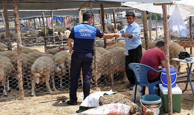 Çukurova'da Kurban satış yerleri belirlendi