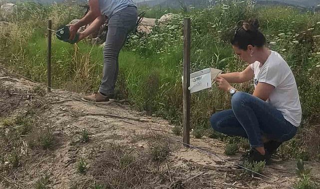 Didim'in pamuğu temiz çıktı