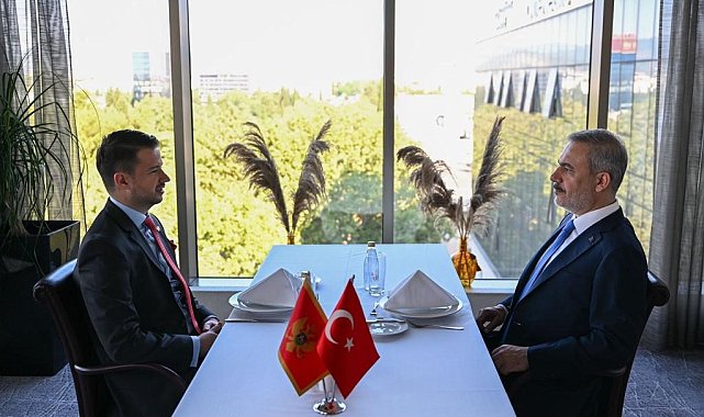 Dışişleri Bakanı Fidan, Karadağ Cumhurbaşkanı Miltovic'le görüştü