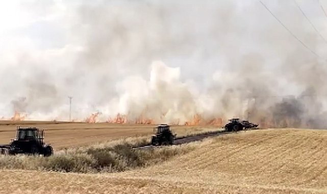 Diyarbakır'da yaklaşık bin dönümlük buğday tarlası küle döndü