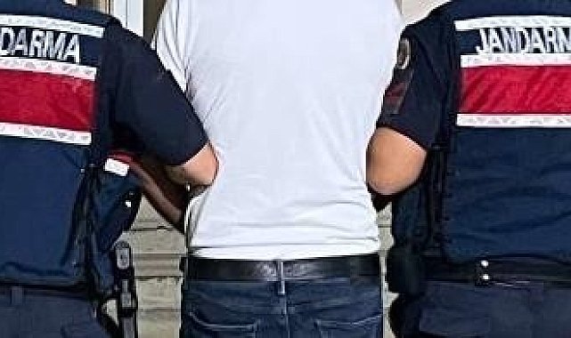 Döviz hırsızları Didim'de yakalandı