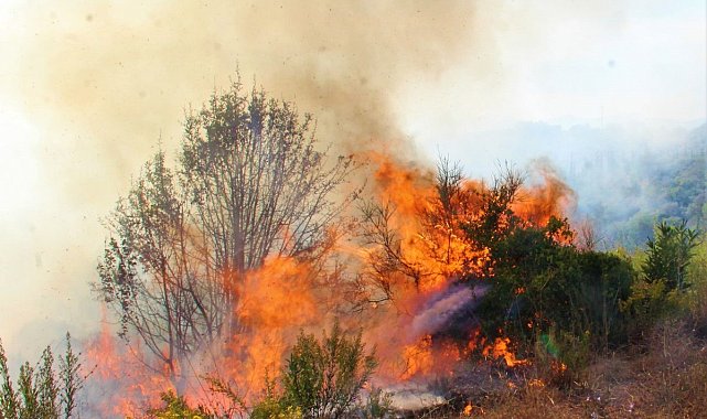 EKODOSD, vatandaşları yangınlara karşı uyardı