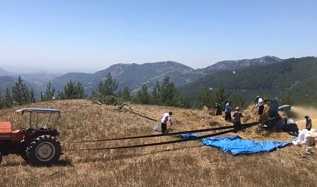 Engebeli arazilerde ekim yapan çiftçiler, eski patoz makinalarıyla hasat yaptı