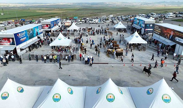 Gölbaşı Modern Kurban Satış ve Kesim Merkezi'nde bayram heyecanı
