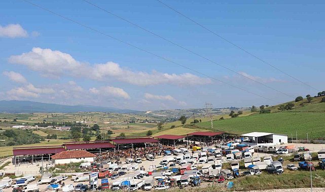 Havza bayrama hazır