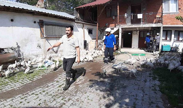 Hindi çiftliğinde yangın çıktı