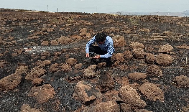 İslahiye'deki tarla yangını en büyük darbeyi çiftçiye vurdu