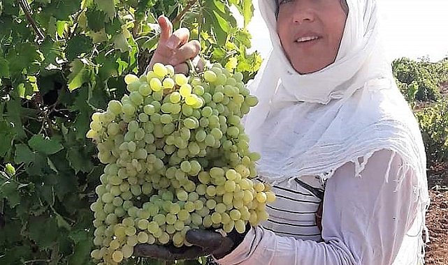 Karaciğer nakli yapılan kadın evinde ölü bulundu