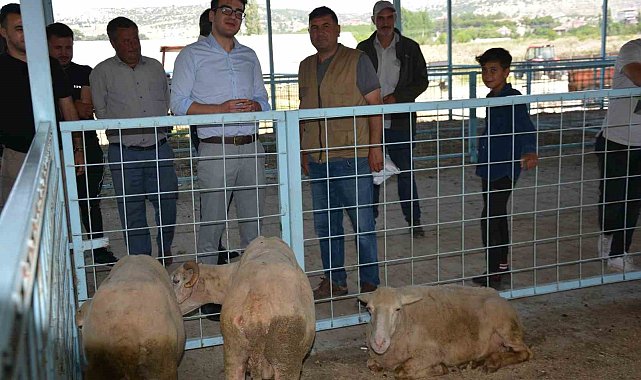 Kaymakam Okumuş'tan kurban pazarında inceleme