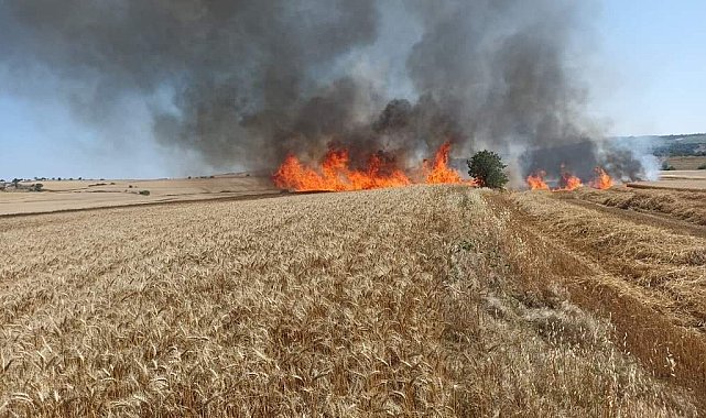 Keşan'da 30 dönüm buğday ekili arazi kül oldu