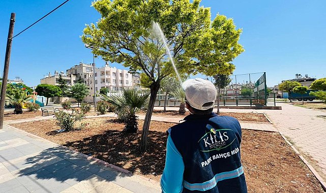 Kilis'te ilaçlama çalışmaları devam ediyor