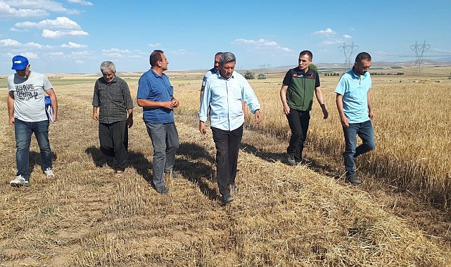 Kırşehir'de ilk tarımsal ürün hasadı yapıldı