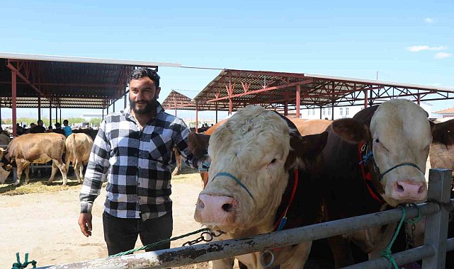 Kırşehir'de otomobil fiyatına kurbanlık