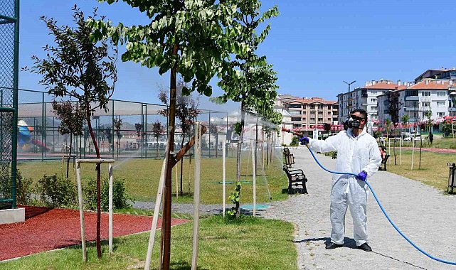 Mamak Belediyesi'nden çevre dostu biyolojik mücadele