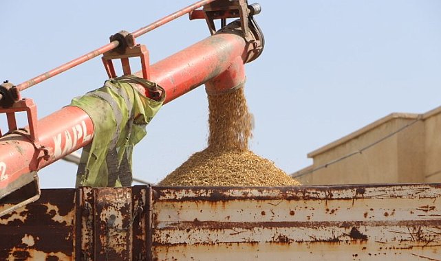 Mardin'de çiftçiler hububatta rekolteden memnun