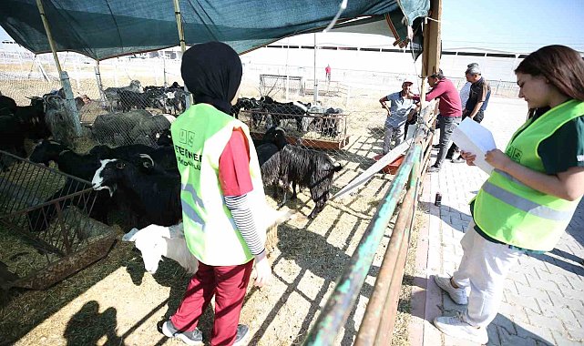 Meram'daki hayvan satış alanında kurban hareketliliği