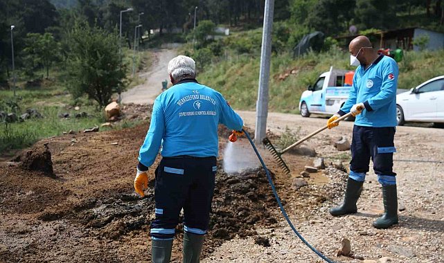 Merkezefendi'de tüm mahalleler ilaçlanıyor