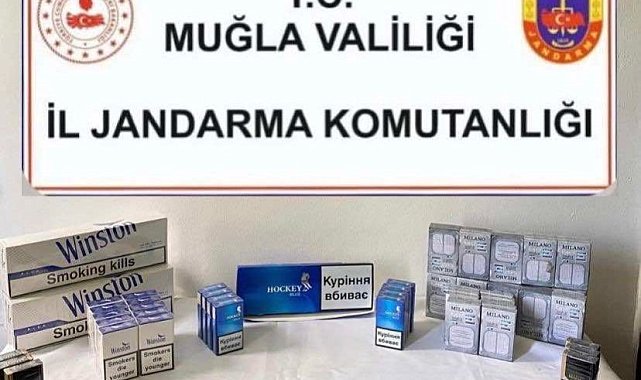 Muğla'da kaçak sigara operasyonu