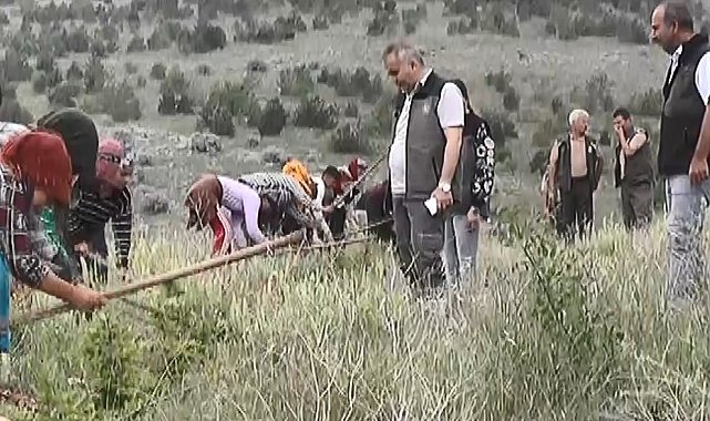 Orman alanlarında düzenli bakım yaparak toprağı arındırıyorlar