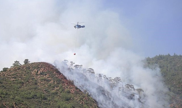 Orman yangınında gözaltına alınan şahıs serbest bırakıldı