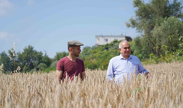 Örnek projeyle atıl araziler üretime kazandırıldı, ilk hasat yapıldı