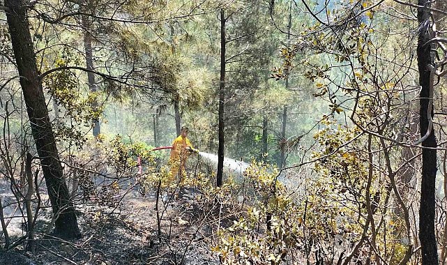 Osmaniye'de orman yangını, ekipler havadan ve karadan müdahale etti