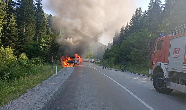 Seyir halindeki çekici alev alev yandı
