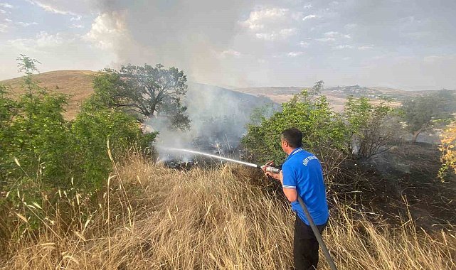 Siirt'te 65 dönüm buğday kül oldu
